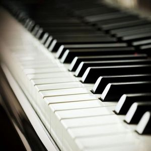 欧美熟妇成人视频
