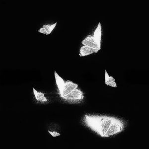 欧美熟妇成人视频
