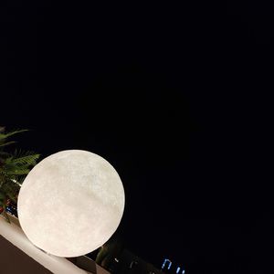 欧美熟妇成人视频
