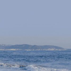 欧美熟妇成人视频
