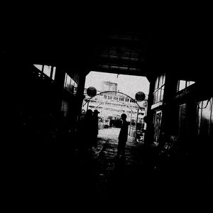 欧美熟妇成人视频
